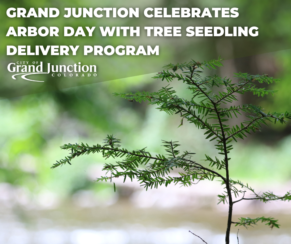 A small tree with branches outside. Text on graphic.