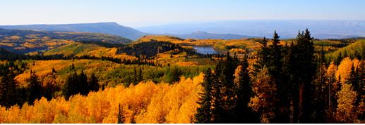 Fall Colors On The Mesa, Jim Finlayson