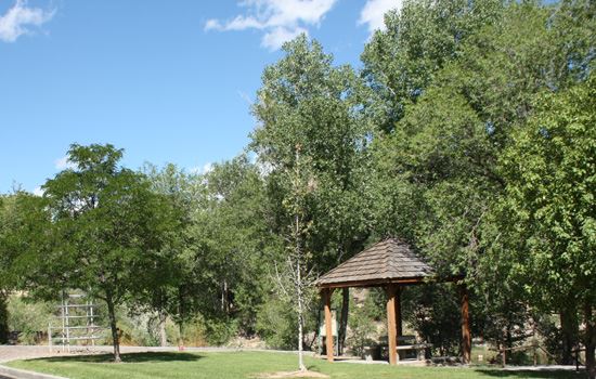 Duckpond Park (Ridges)