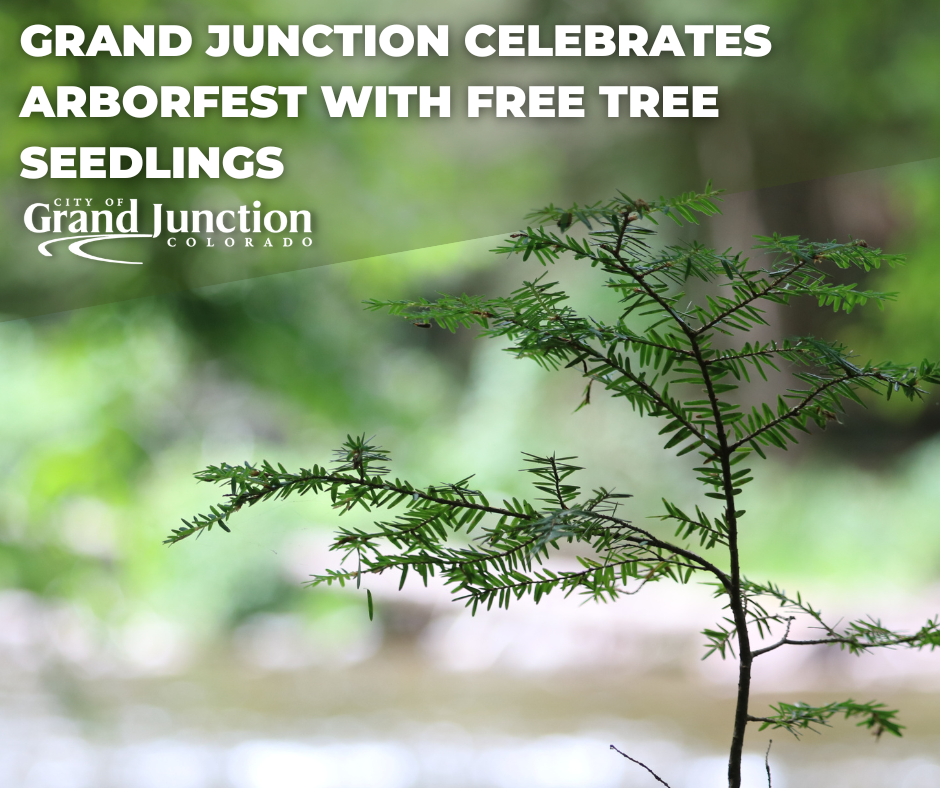 Grand junction Celebrates Arbor Day with Tree seedling delivery Program