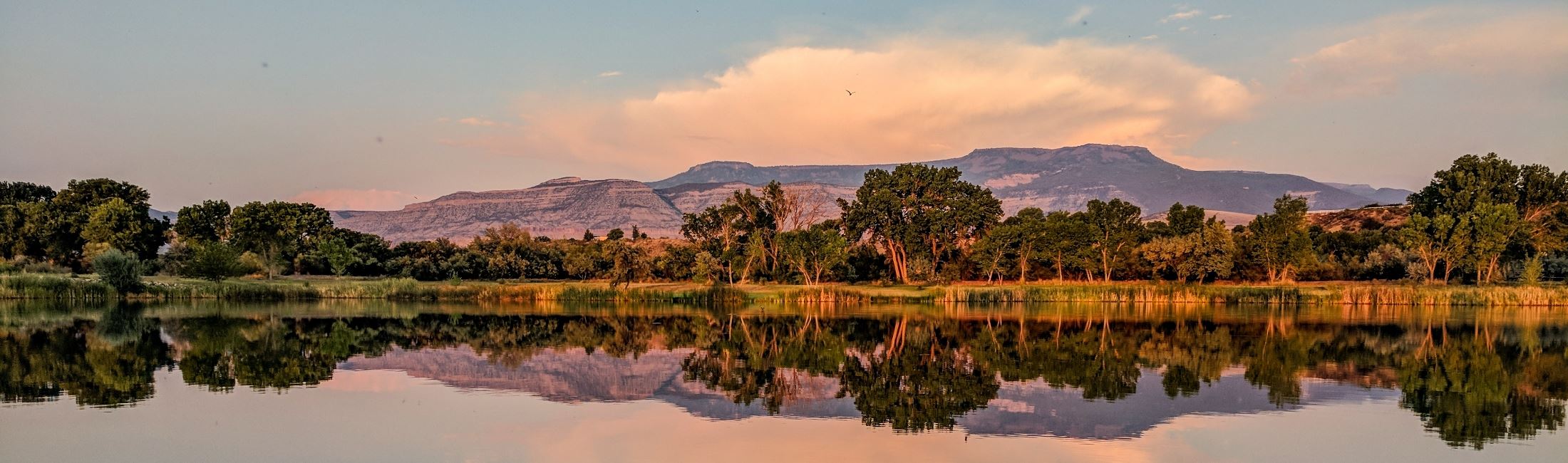 landscape view of water and trees