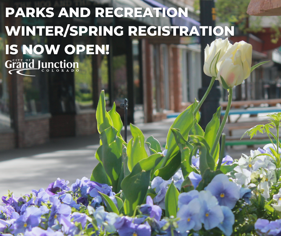 Flowers blooming on Main Street in Grand Junction