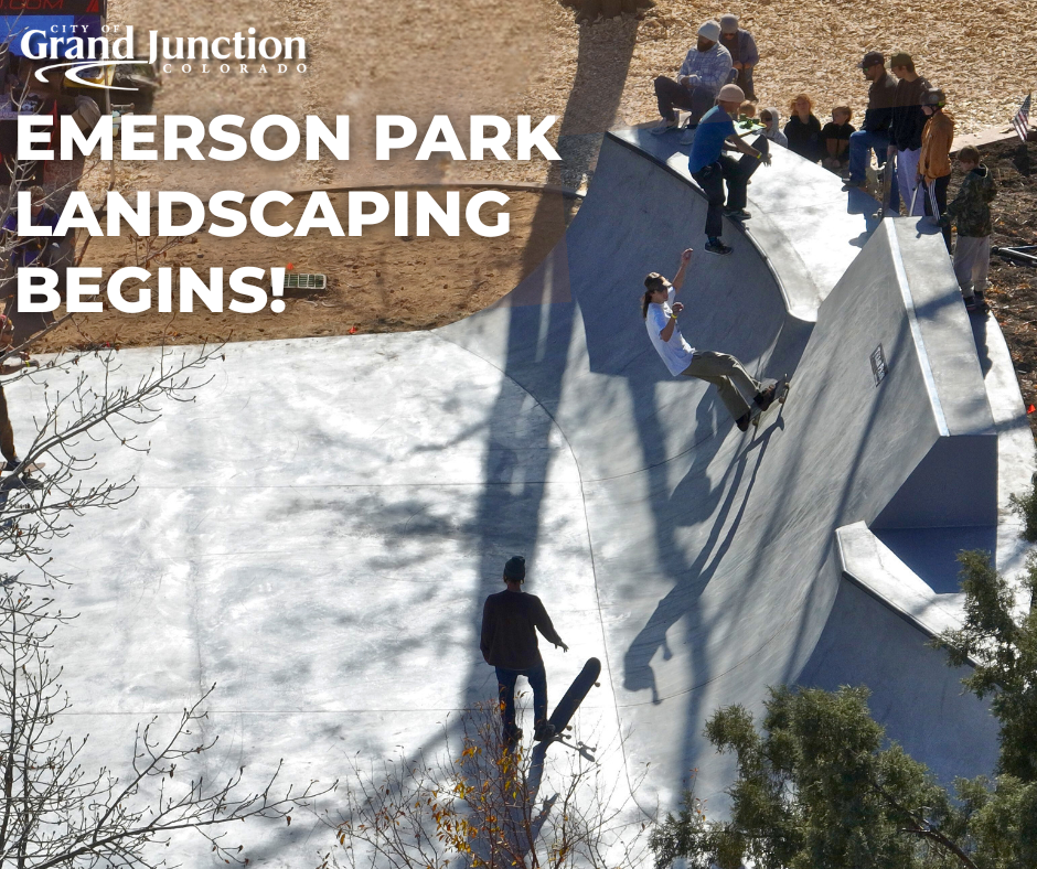 Birds eye view of kids skating at Emerson Skate Park