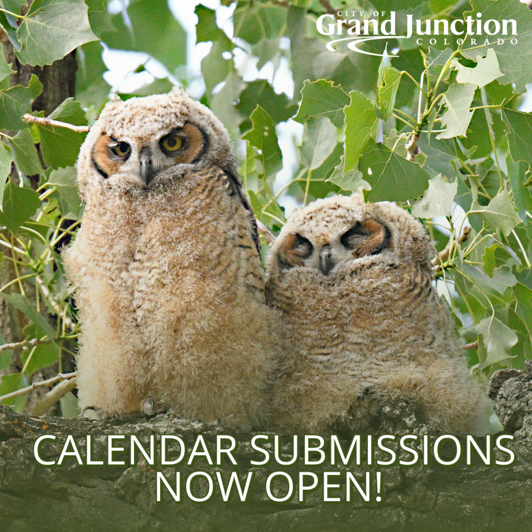 Two owls resting on a tree. Text on graphic