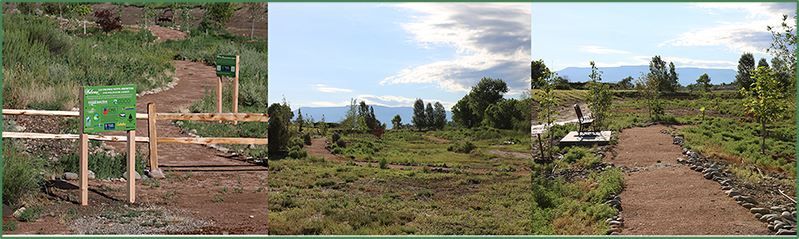 Las Colonias Native Arboretum Collage