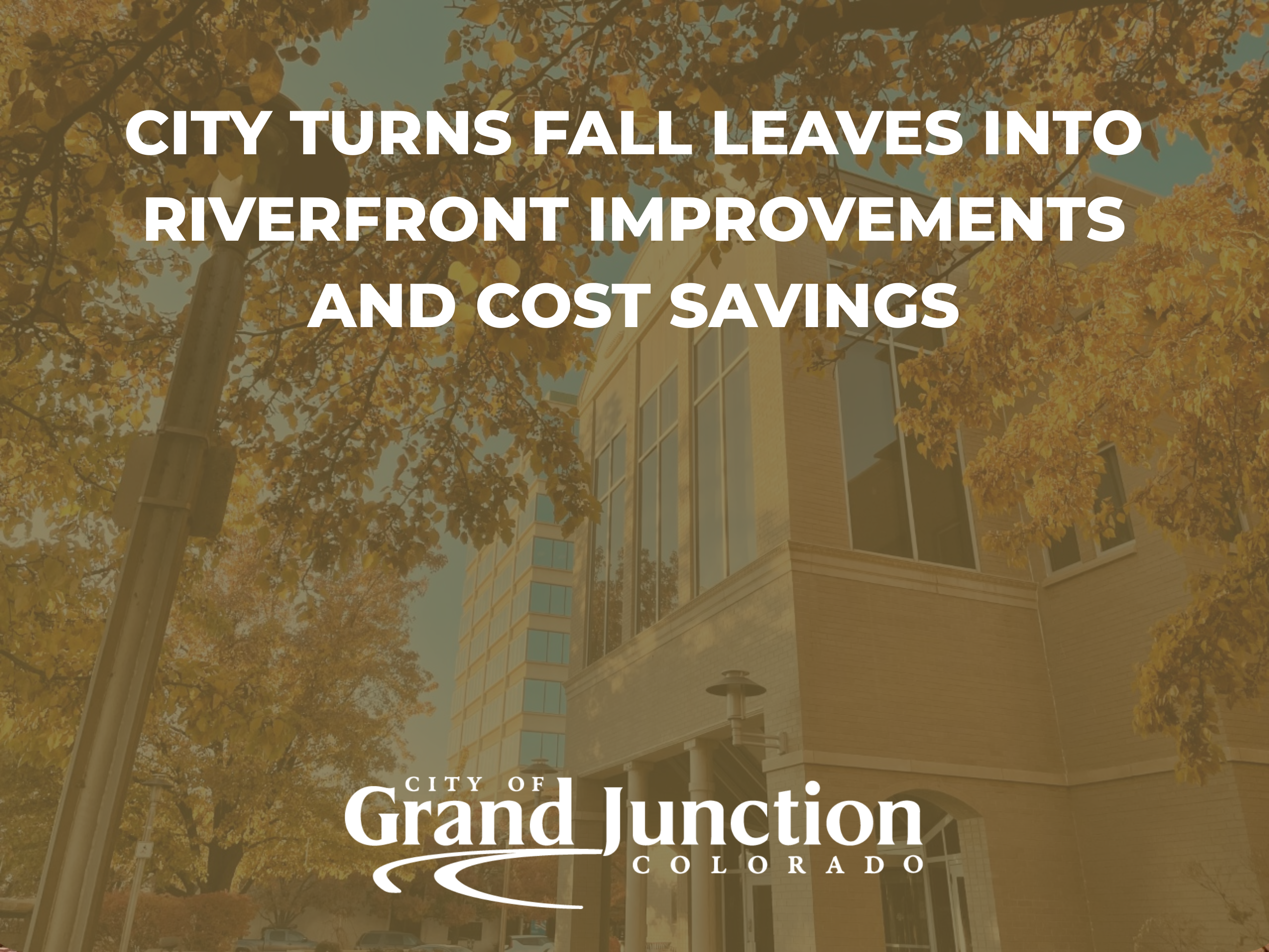 City Hall with a fall tree outside. Text on graphic: City Turns Fall Leaves into Riverfront 