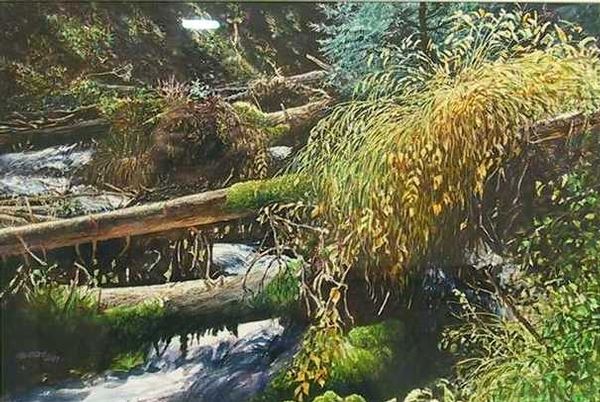 Reflections of Dallas Creek