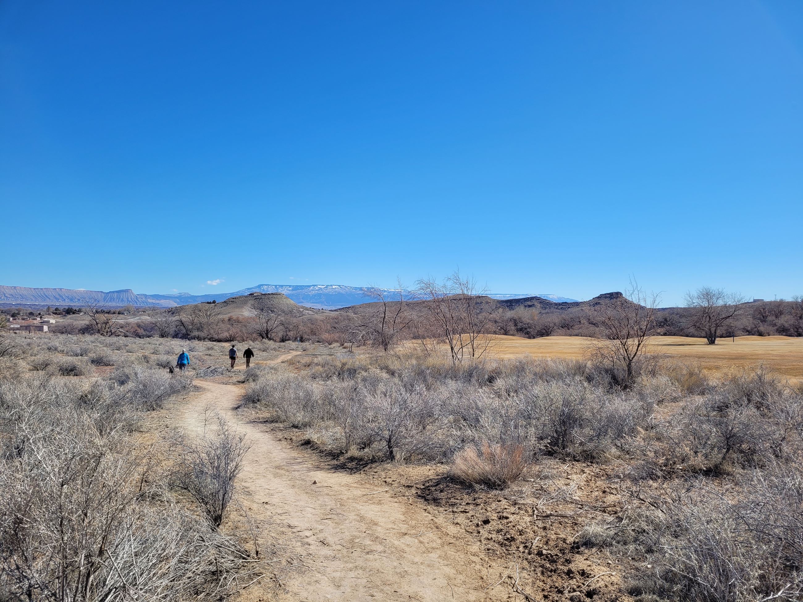 Kindred Reserve Open Space (17)