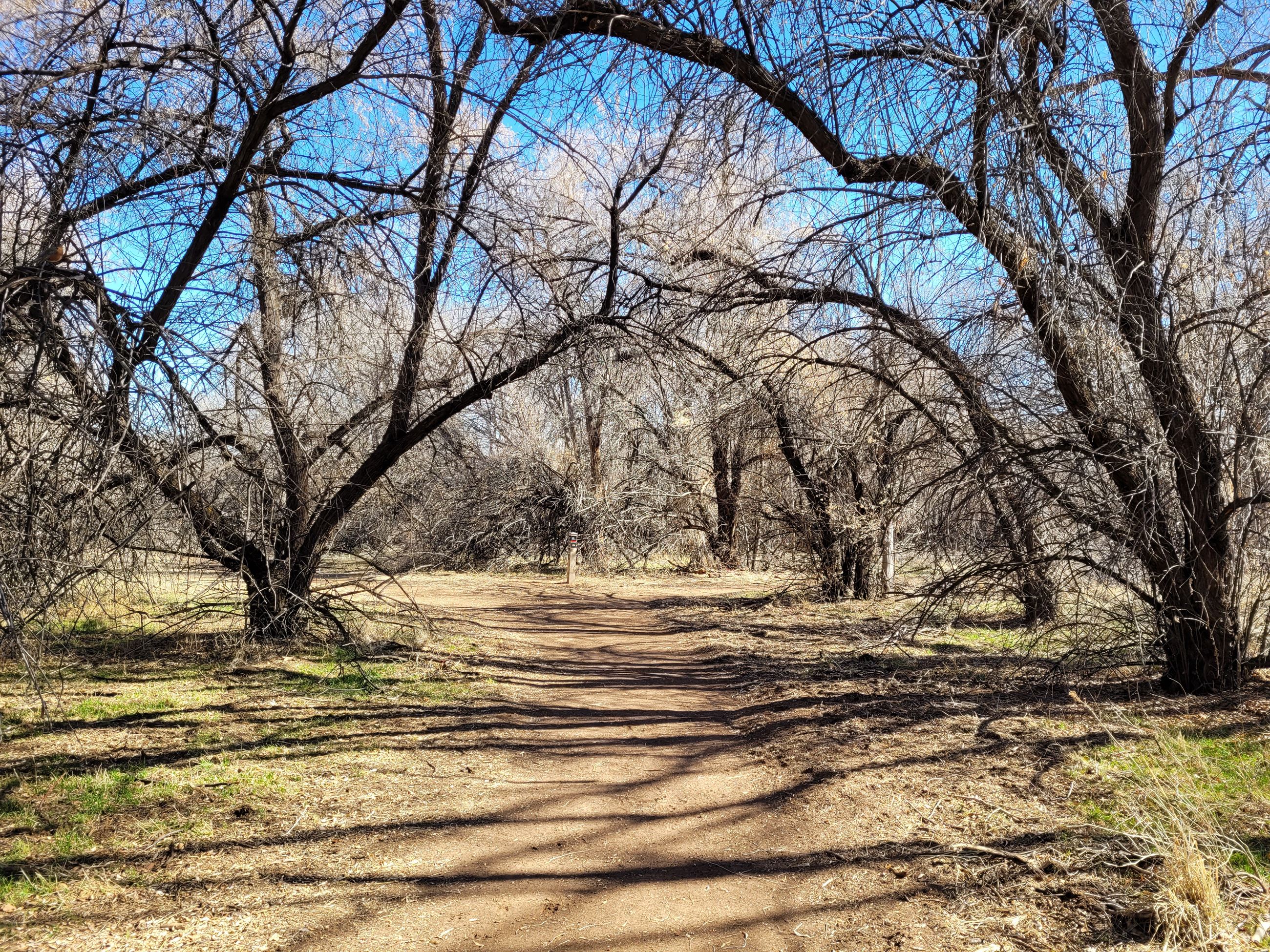 Kindred Reserve Open Space (26)