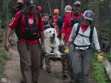 Colorado Rescue Team