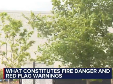 Trees blowing in the background with a TV banner in front