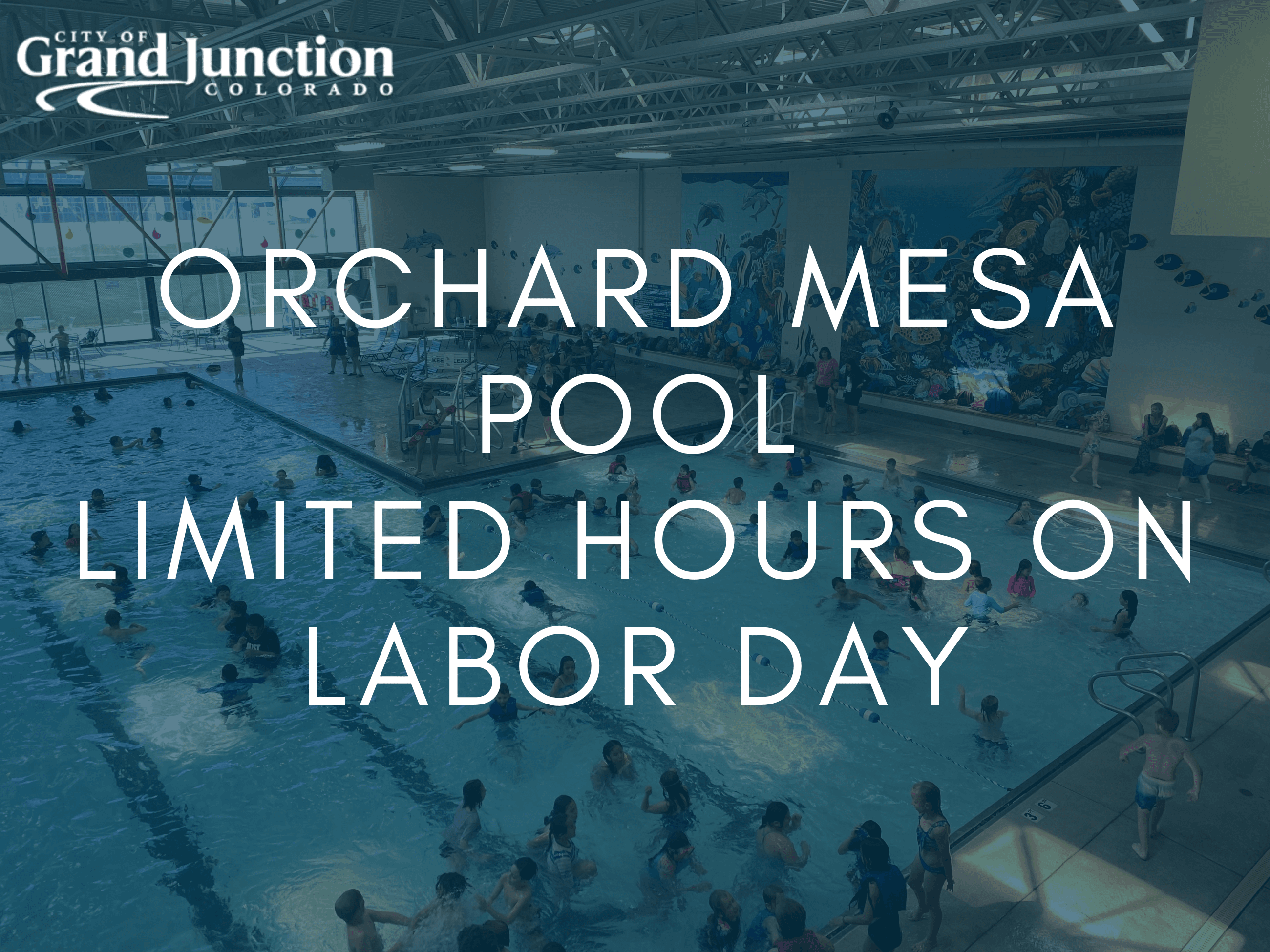 people swimming in pool with blue graphic overlay with words that read orchard mesa pool