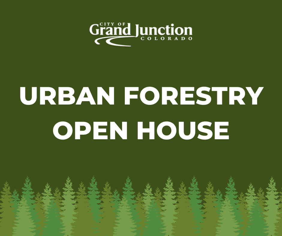 Urban Forestry Image