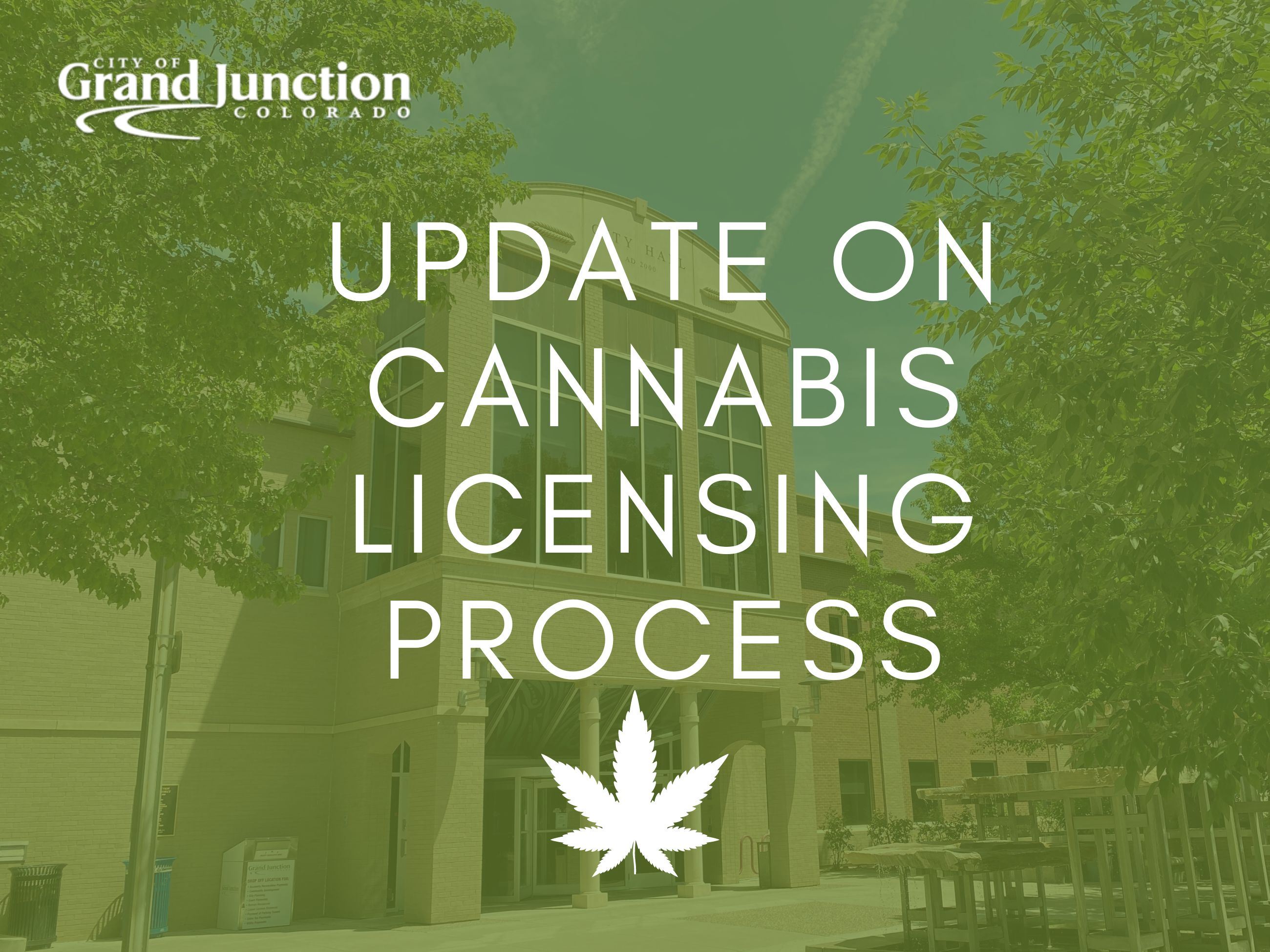 Update on Cannabis Licensing Process