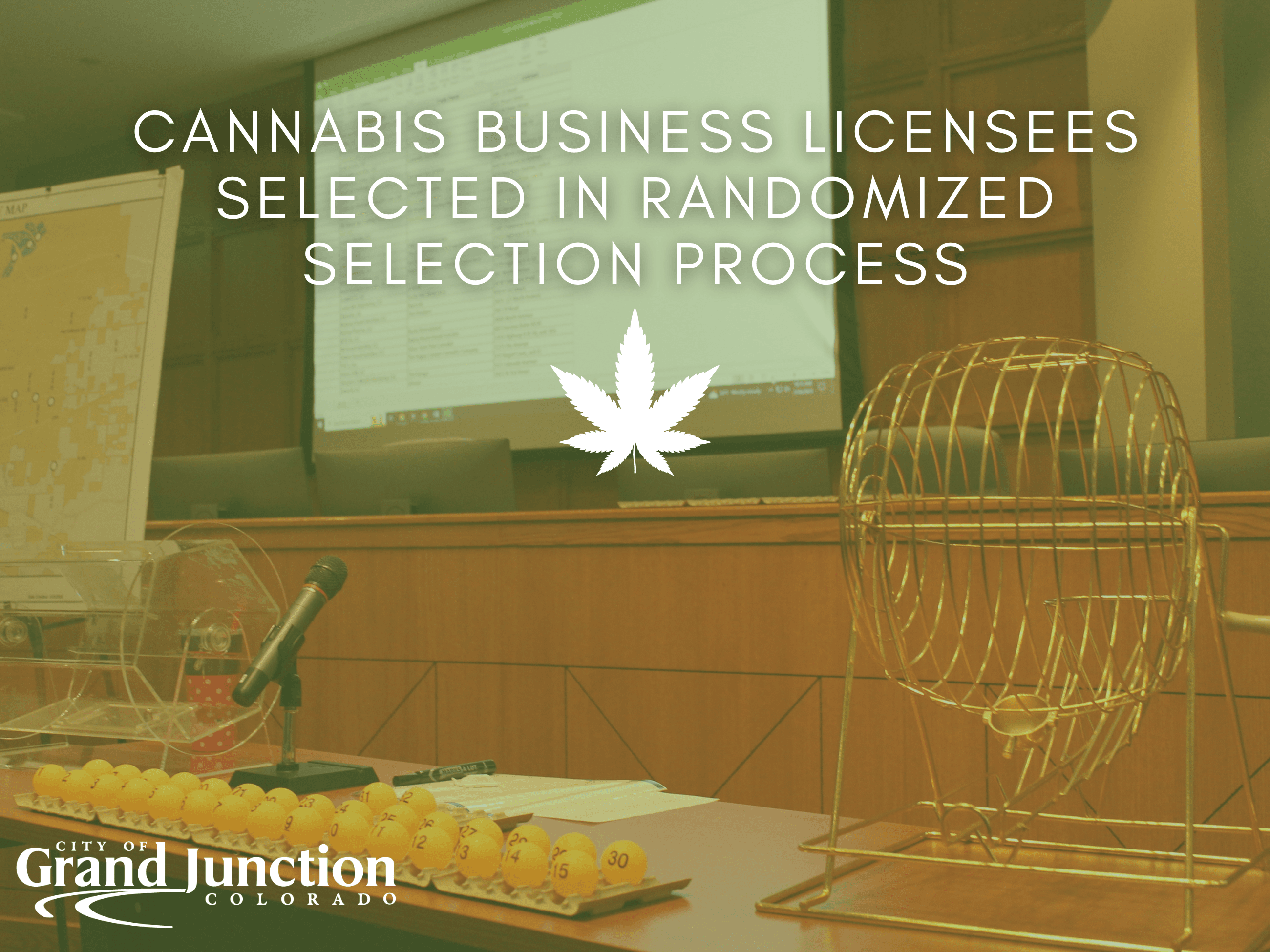 Cannabis License