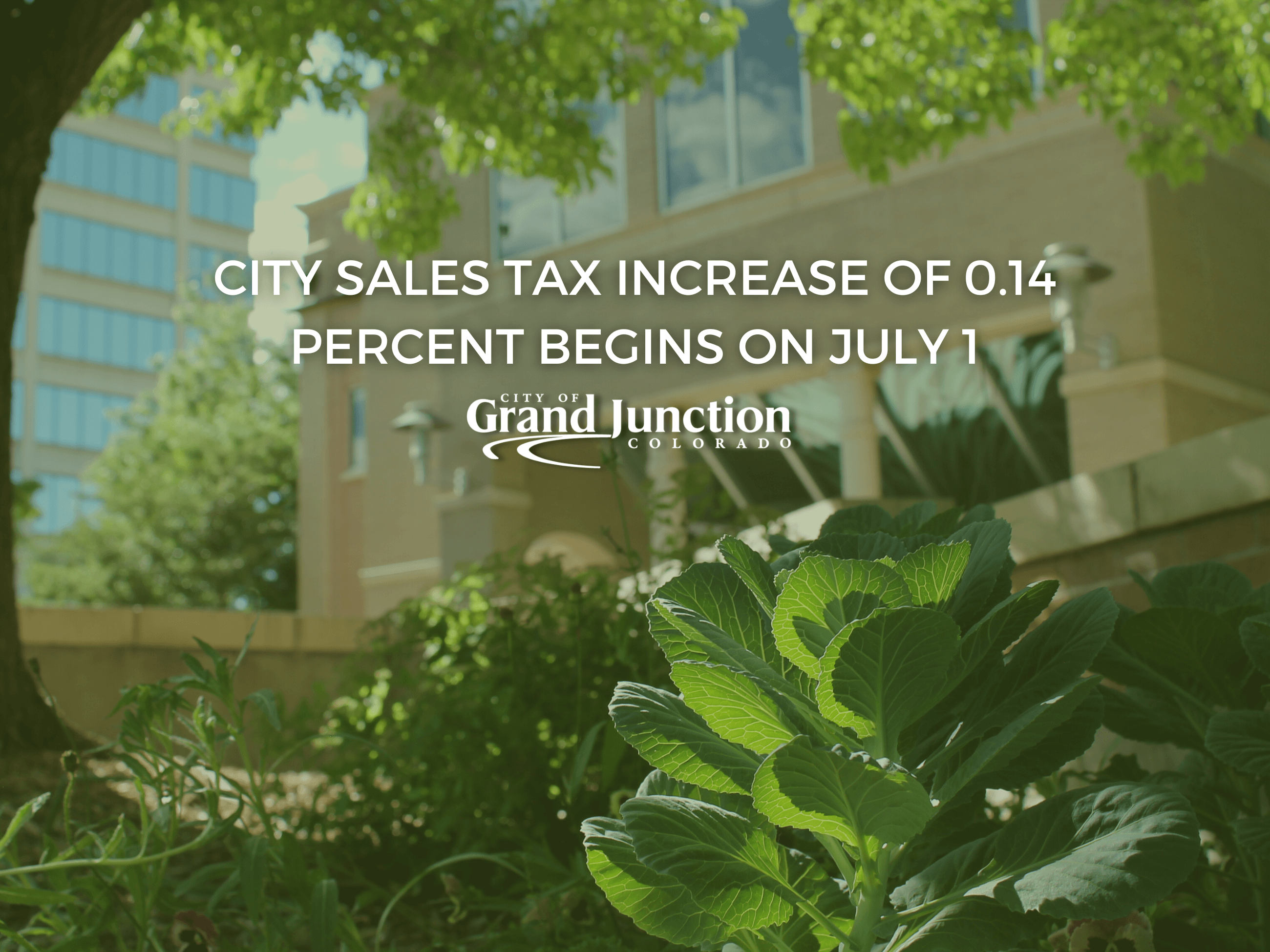 City Hall building with tree and shrubs surrounding. Outdoors. White text on graphic. 