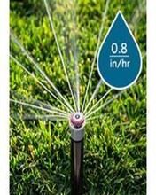 Rotary nozzle sprinkler watering a lawn